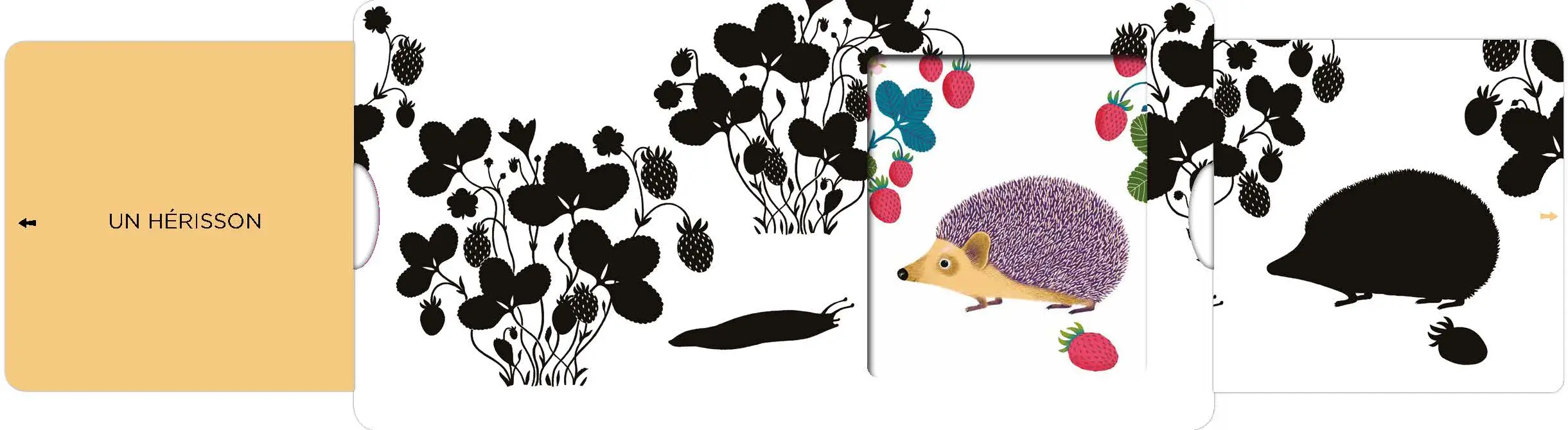 Dans le jardin - Un livre en noir et blanc qui passe en couleurs grâce aux animations, pour les bébés des 6 mois - Livre d'éveil - 9782092490518 - page-interieure2
