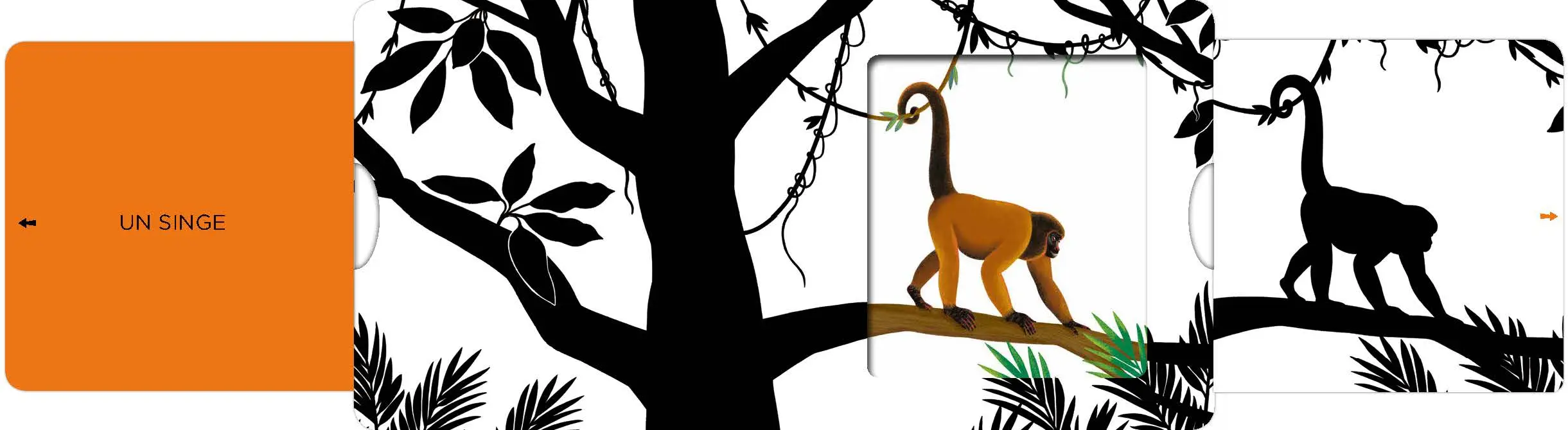 Dans la jungle - Un livre en noir et blanc qui passe en couleurs grâce aux animations, pour les bébés des 6 mois - Livre d'éveil - 9782092490525 - page-interieure2