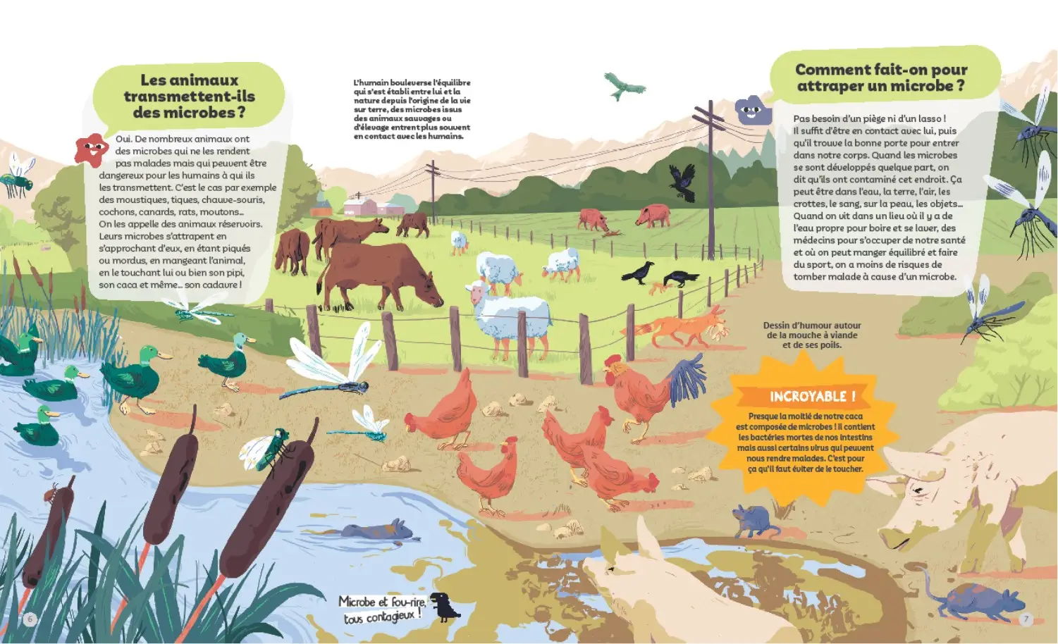 Planète microbes -  Questions/Réponses - doc dès 7 ans - Livre documentaire - 9782092490914 - page-interieure2