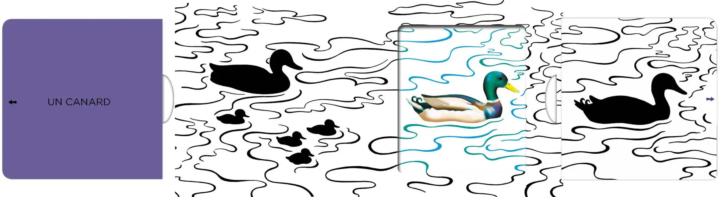 Au bord de la rivière - Un livre en noir et blanc qui passe en couleurs grâce aux animations, pour les bébés des 6 mois - Livre d'éveil - 9782092491874 - page intérieure2