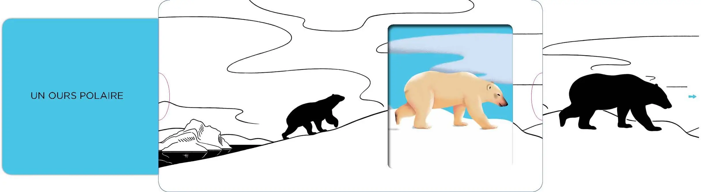 La banquise - Un livre en noir et blanc qui passe en couleurs grâce aux animations, pour les bébés des 6 mois - Livre d'éveil - 9782092491881 - page intérieure2