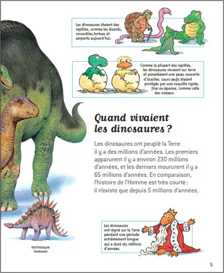 Au temps des dinosaures - Questions/Réponses - doc dès 7 ans - Livre documentaire - 9782092492840 - page intérieure2