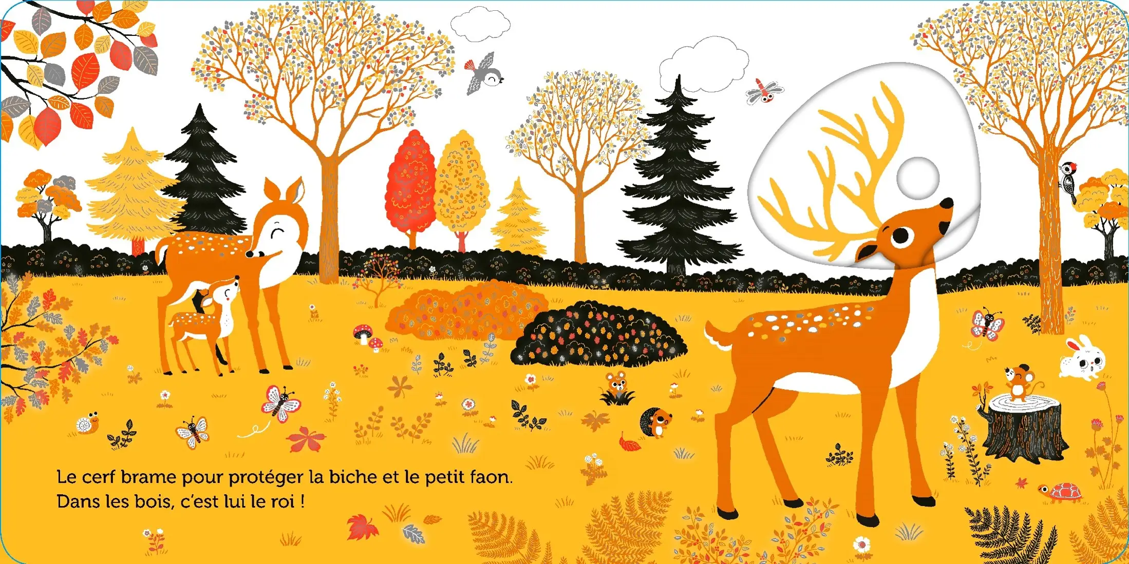 Promenade dans les bois -  livre d'éveil animé, pour les bébés dès 6 mois - Livre d'éveil - 9782092492864 - page intérieure2