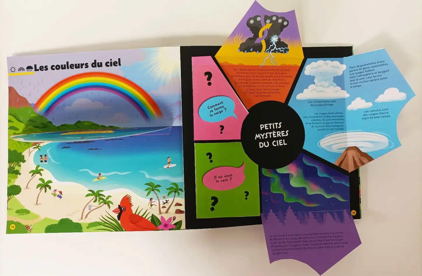 Le grand Kididoc de la nature - Plus de 100 questions sur la nature avec des animations spectaculaires ! dès 4 ans - Livre documentaire - 9782092493793 - page-interieure2