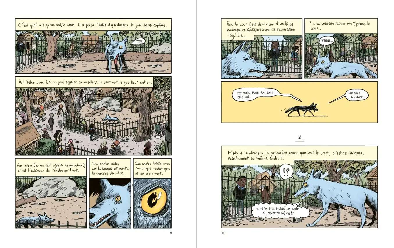 L'Oeil du loup - Le Chef d'oeuvre de Daniel Pennac adapté en BD par Mathieu Sapin - BD - 9782092494639 - page-interieure2