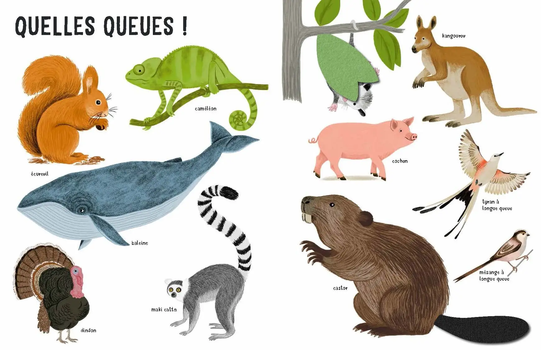 Belles bêtes - un bestiaire extraordinaire avec de grands flaps en feutrine - Dès 6 mois - Livre d'éveil - 9782092495087 - page-interieure2