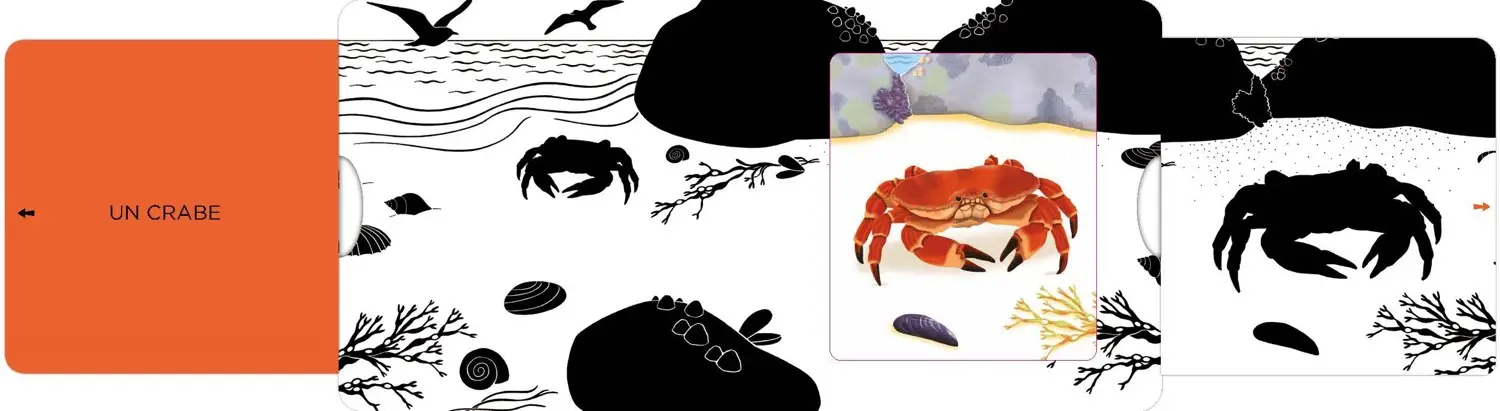 La mer - Un livre en noir et blanc qui passe en couleurs grâce aux animations, pour les bébés des 6 mois - Livre d'éveil - 9782092495131 - page-interieure2