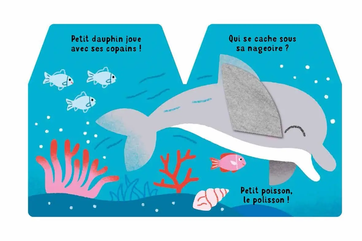 Cache-cache petit dauphin- Livre d'éveil -  Dès 6 mois - Livre d'éveil - 9782092496923 - page-interieure2