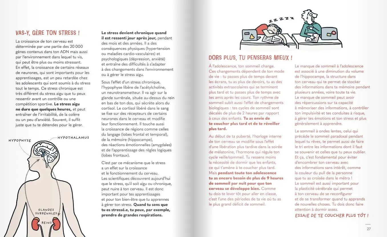 C'est (pas) moi, c'est mon cerveau ! Pour enfin comprendre ce qui se passe  dans la tête d'un ado ! Dès 10 ans - Livre documentaire - 9782092496961 - page-interieure2