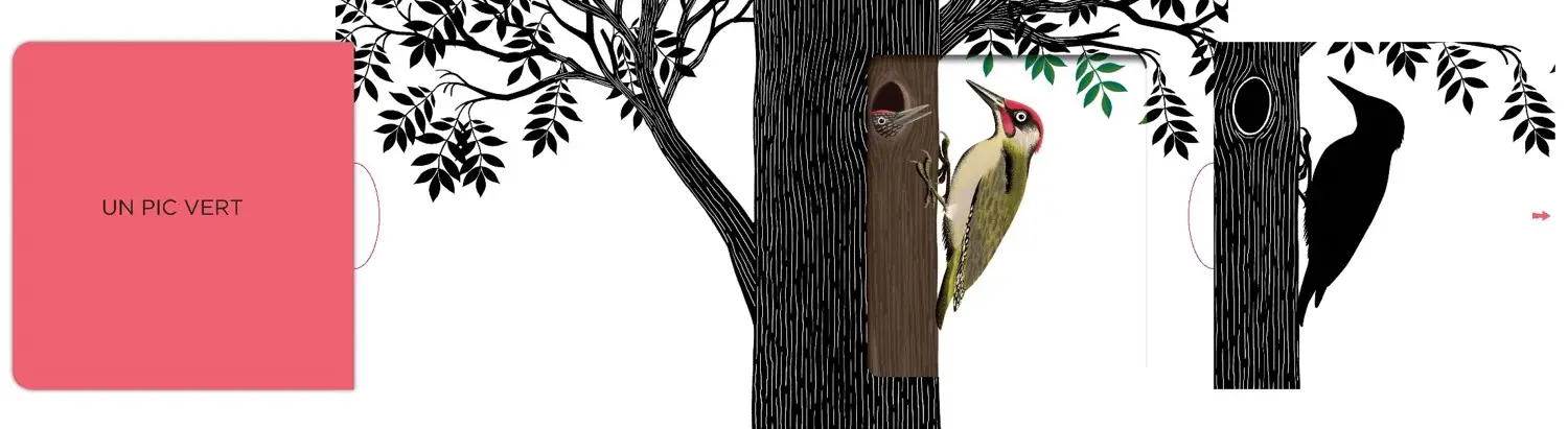 Dans la forêt - Un livre en noir et blanc qui passe en couleurs grâce aux animations, pour les bébés des 6 mois. Les belles couleurs - Livre d'éveil - 9782092497067 - page-interieure2