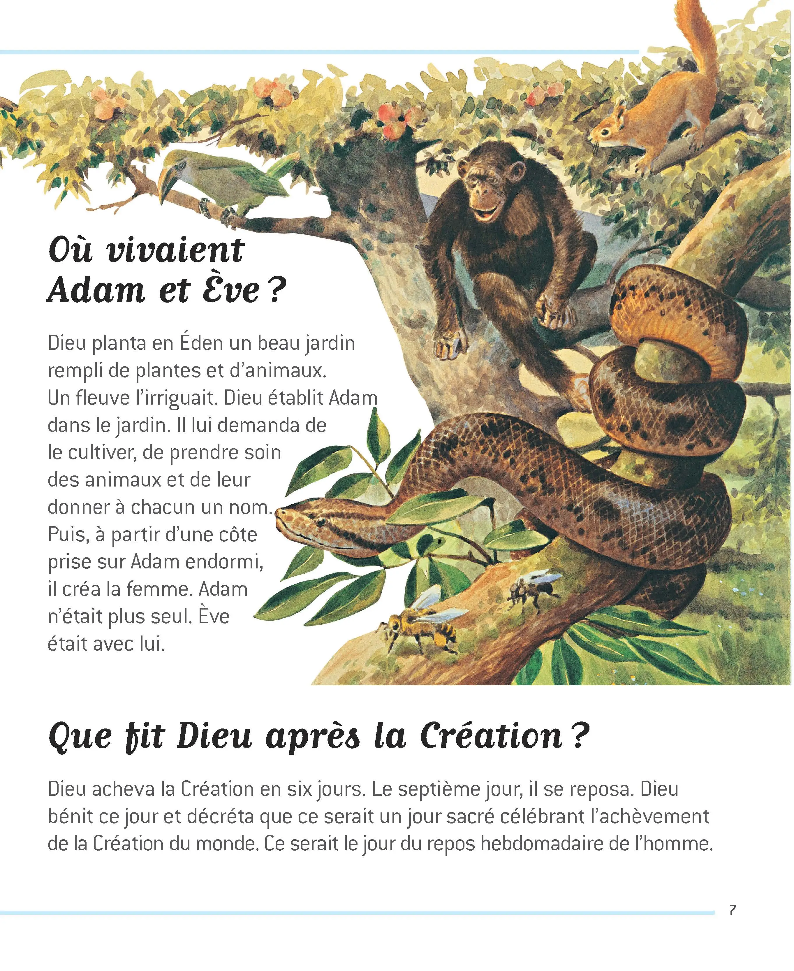 La Bible - Questions/Réponses - Dès 7 ans - Livre documentaire - 9782092552636 - page-interieure2