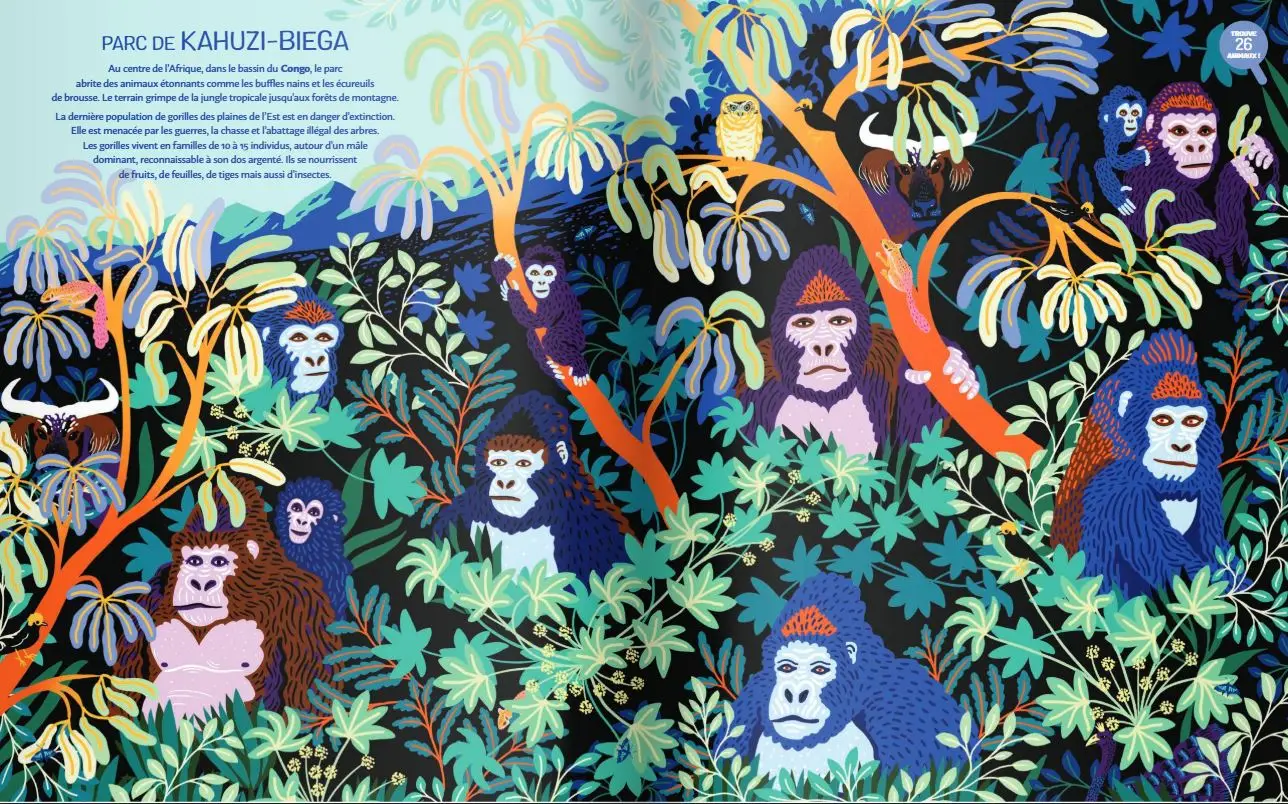 Jungles et réserves naturelles du monde - Un magnifique livre pour partir en voyage dans les jungles du monde et découvrir des animaux sauvages - jeu cherche et trouve - Grand format - Dès 5 ans - Livre documentaire - 9782092585696 - page intérieure2