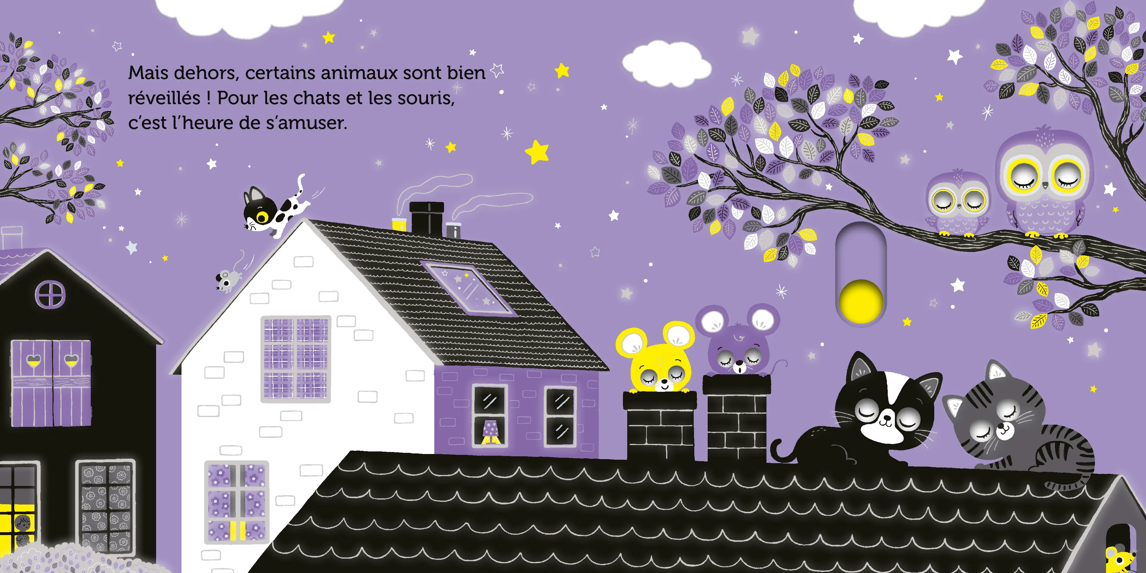 Promenade sous les étoiles -  livre d'éveil animé, pour les bébés dès 6 mois - Livre d'éveil - 9782092592717 - page intérieure2