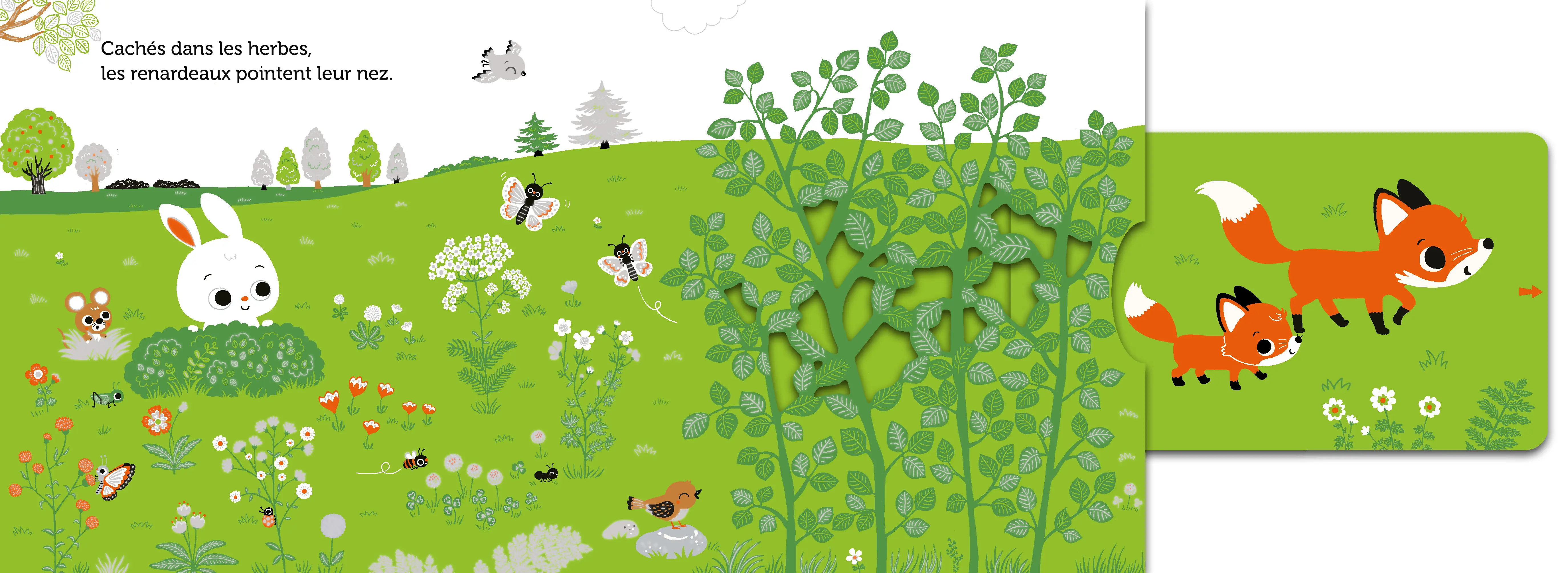 Promenade dans les prés - livre d'éveil animé, pour les bébés dès 6 mois - Livre d'éveil - 9782092592724 - page intérieure2