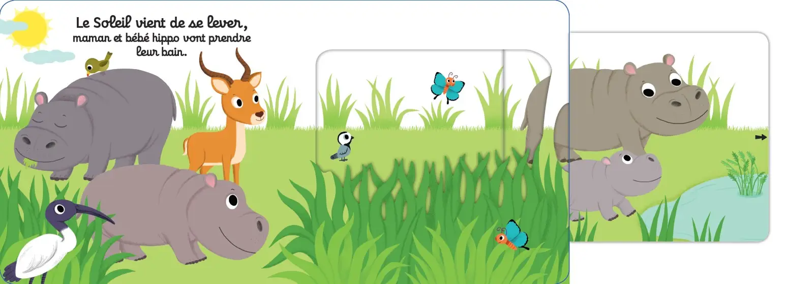 Kididoc - Au bain petit hippo ! - Zooparc de Beauval - Dès 1 an - Livre documentaire - 9782092596470 - page intérieure2