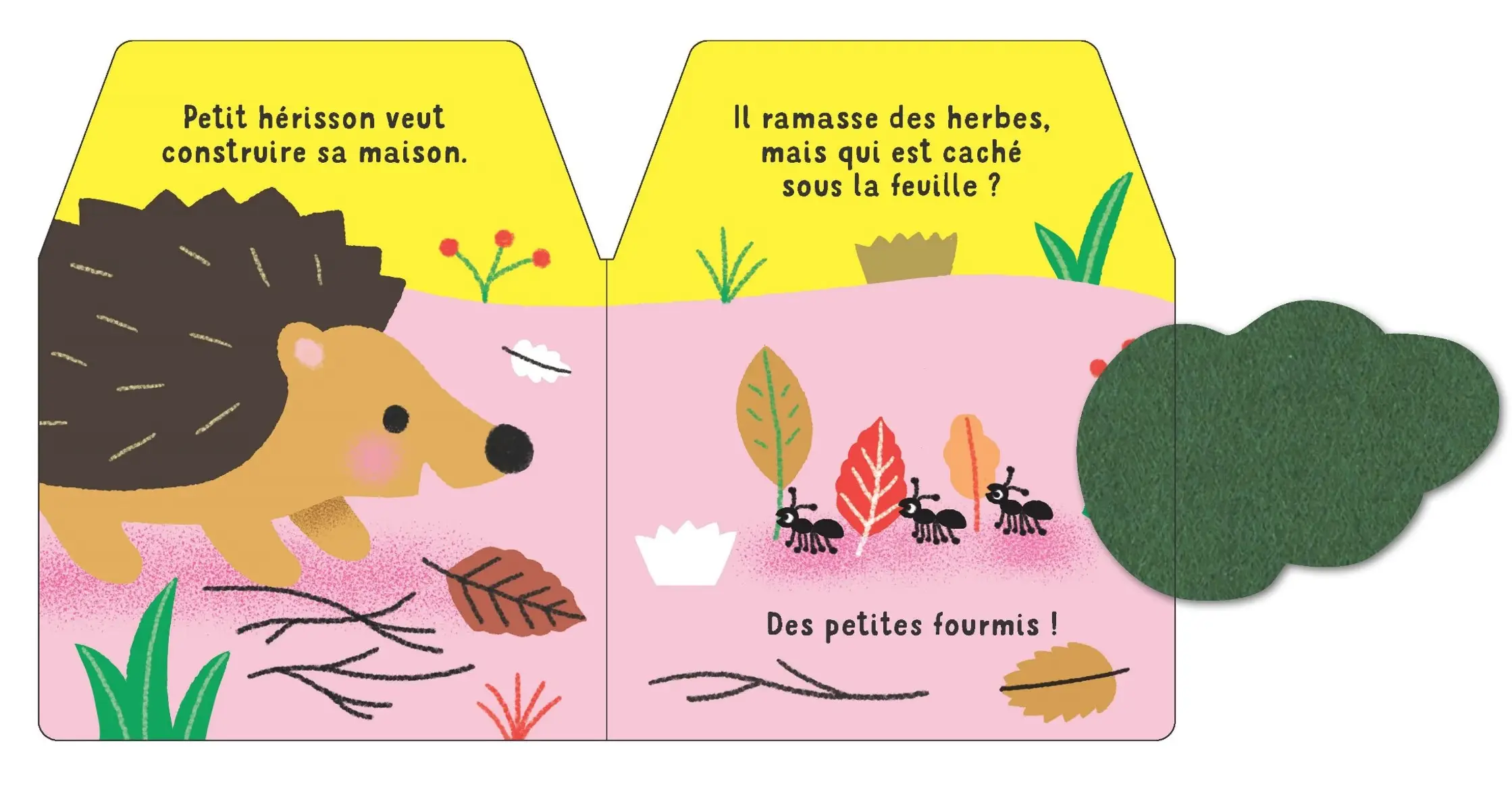 Cache-cache petit hérisson - Livre matière - éveil -  Dès 6 mois - Livre d'éveil - 9782092596579 - page-interieure2