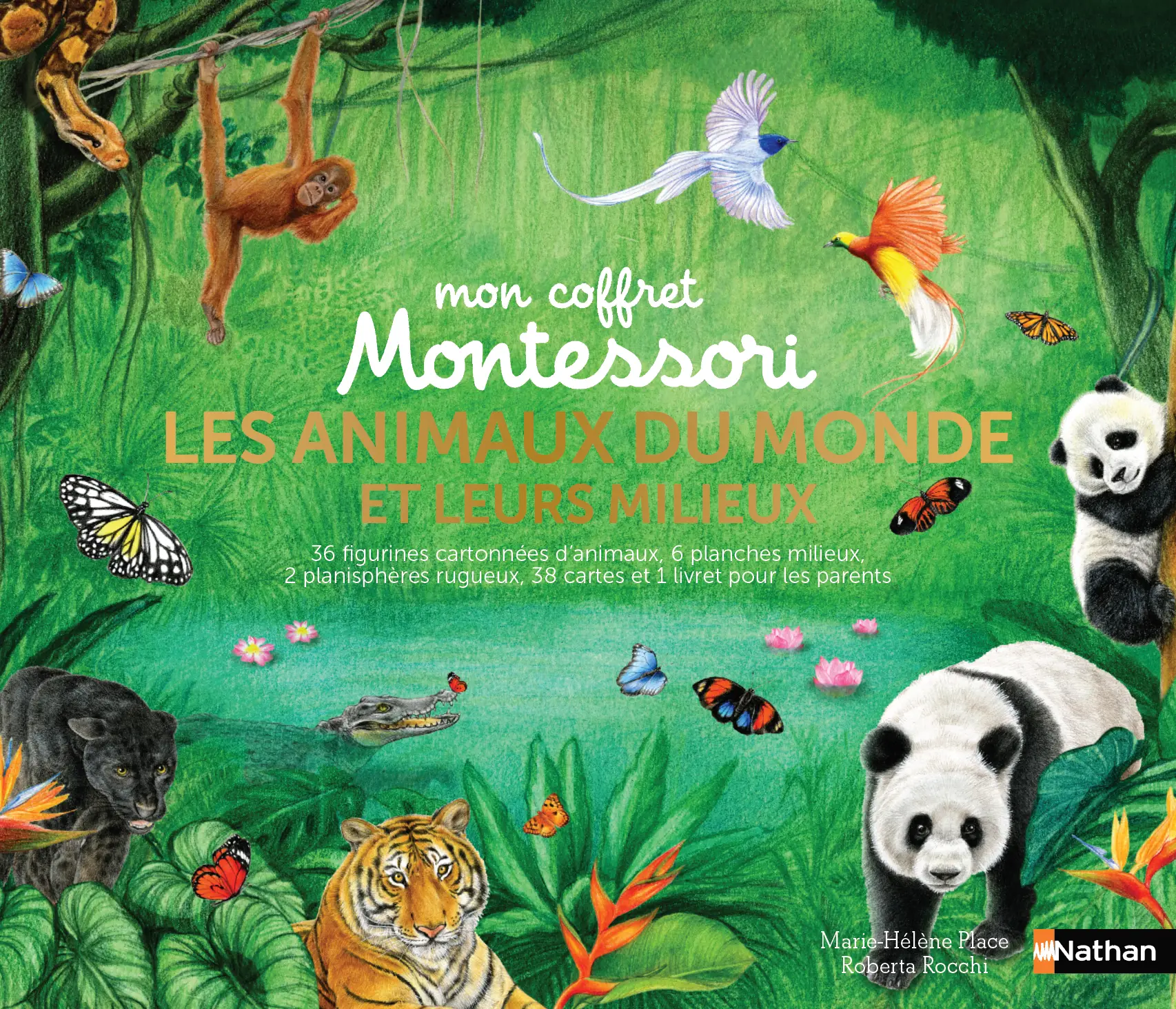 Coffret Montessori : les animaux du monde et leurs milieux - Dès 4 ans - Coffret - 9782092791196 - page-intérieure2