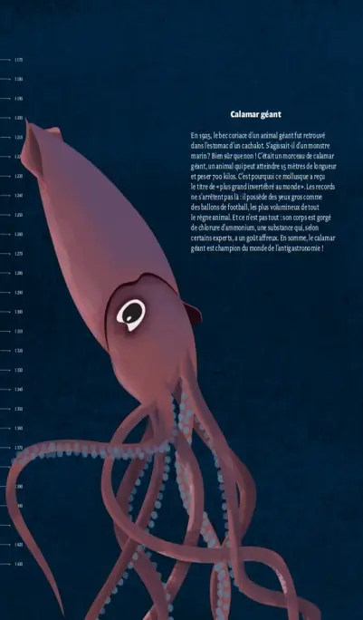 Plongée dans l'Océan - un voyage sous-marin des flots aux abysses - Livre documentaire - 9782095001513 - page-interieure2