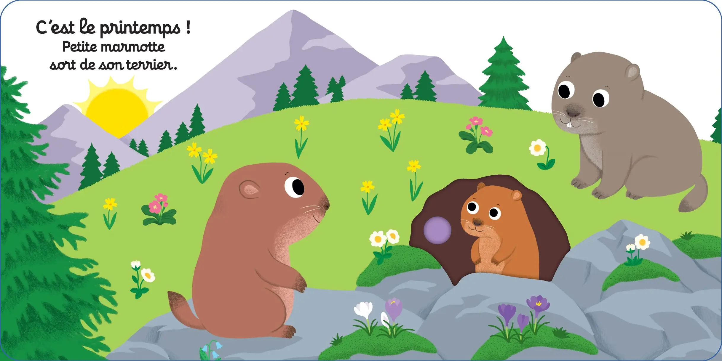 Bonne nuit petite marmotte ! - Livre d'éveil animé pour les bébés dès 1 an - Livre documentaire - 9782095012908 - page-interieure2