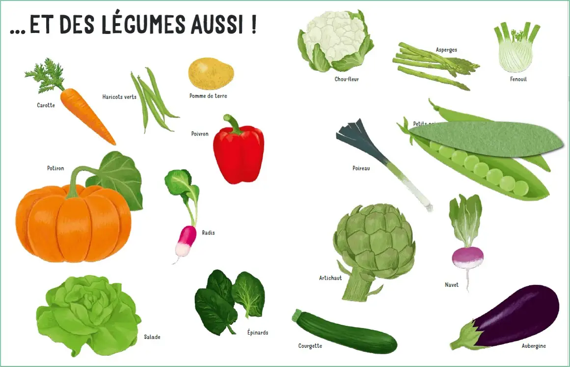 Dans mon jardin - Une promenade au jardin avec de grands flaps en feutrine - Dès 6 mois - Livre d'éveil - 9782095012922 - page-interieure2