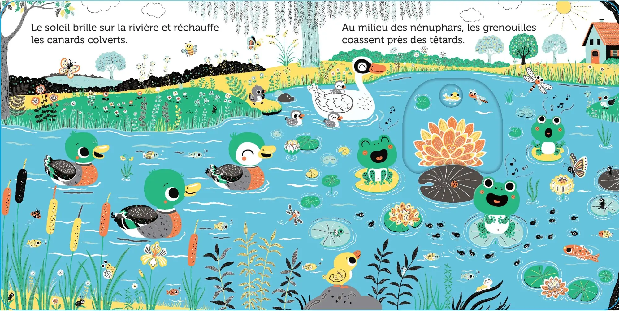 Promenade au bord de la rivière -  livre d'éveil animé, pour les bébés dès 6 mois - Livre d'éveil - 9782095013271 - page-interieure2
