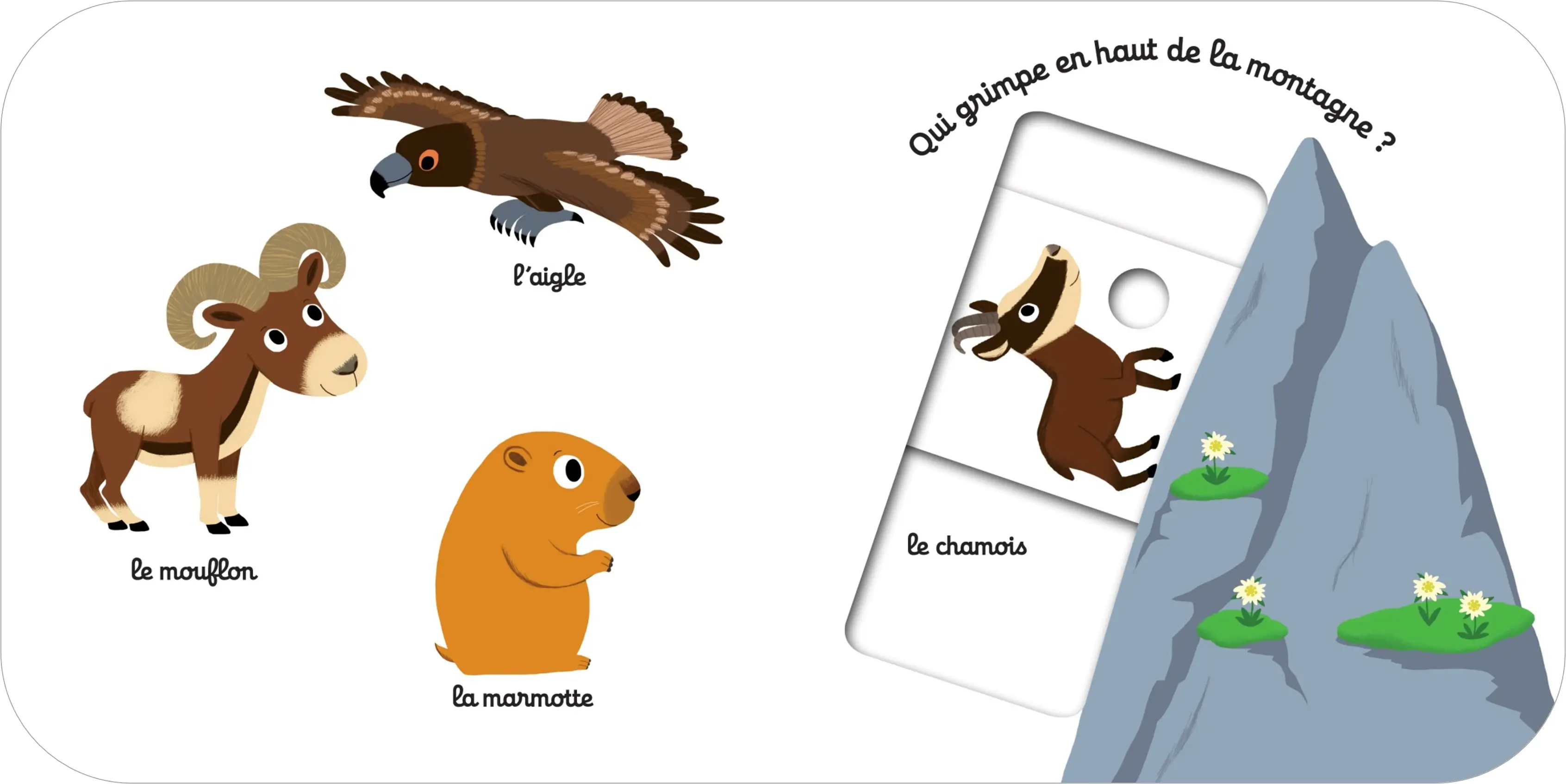 Mon imagier animé Kididoc - la montagne - nouvelle édition - Dès 1 an - Livre documentaire - 9782095024178 - page-interieure2