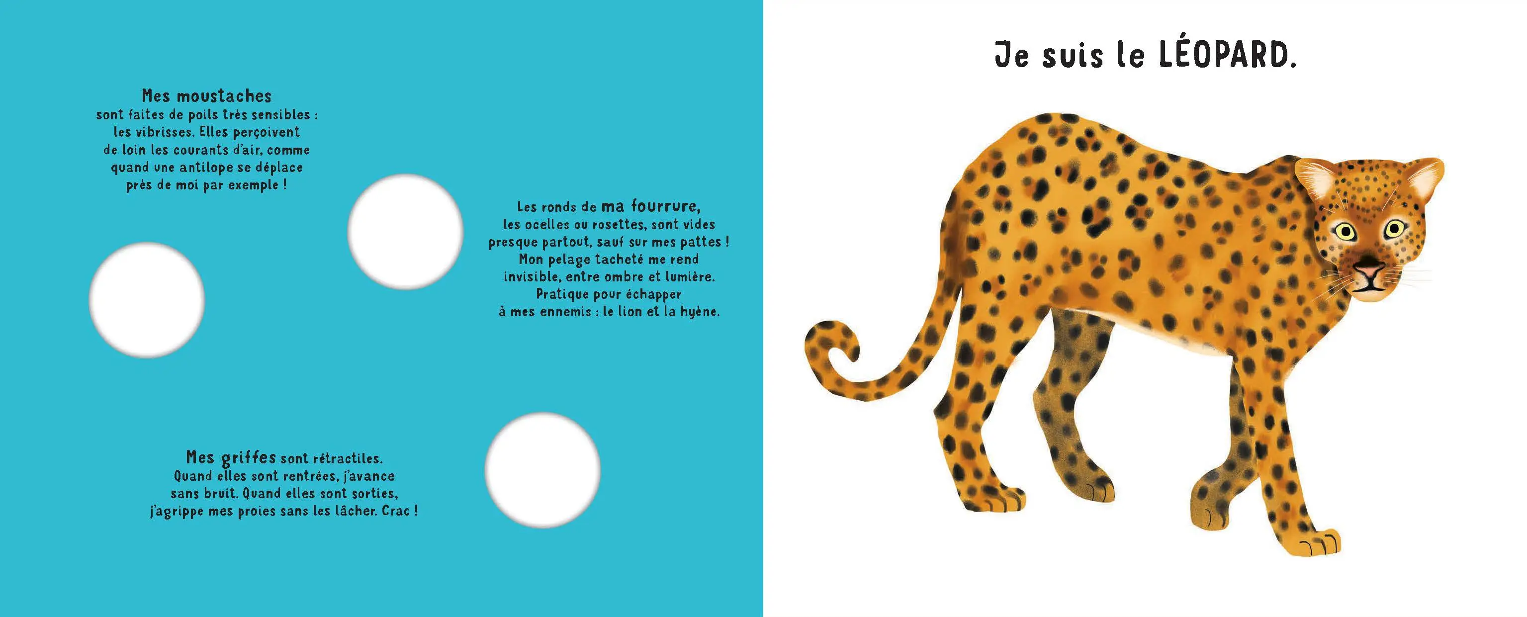 Qui suis-je ? -  Livre-jeu éducatif de 10 animaux à découvrir avec indices et découpages ludiques - dès 4 ans -  - 9782095030650 - page-interieure2
