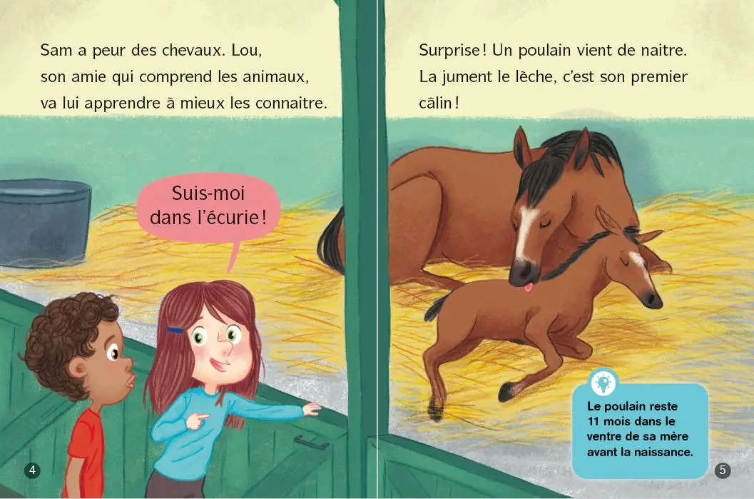 Les docs de Lou, tout sur les chevaux - Dès 6 ans - Roman - 9782095031114 - page-interieure2