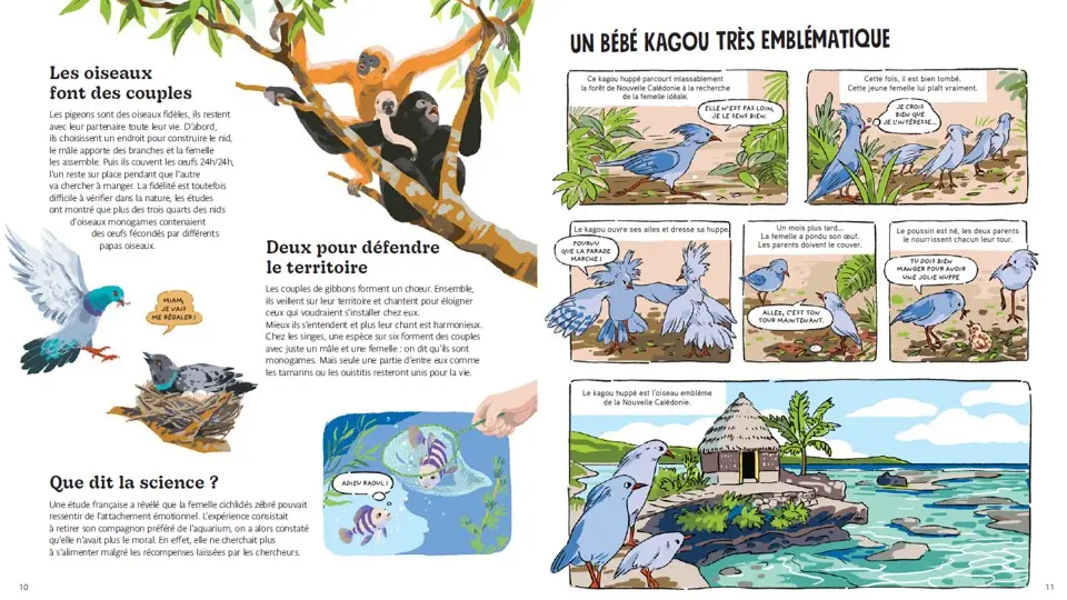 Drôles de familles - un documentaire animalier sur la vie de famille des animaux - dès 10 ans  - Livre documentaire - 9782095035464 - page-intérieure2