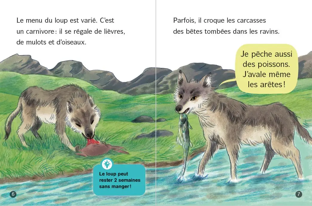 Les docs de Lou - Tout sur les loups ! - Lune bleue - Dès 6 ans - Roman - 9782095036560 - page-interieure2