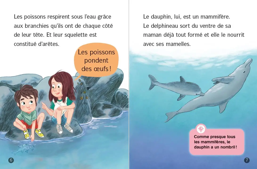 Les Docs de Lou - Tout sur les dauphins ! - Lune Bleue - Dès 6 ans - Roman - 9782095038106 - page-interieure2