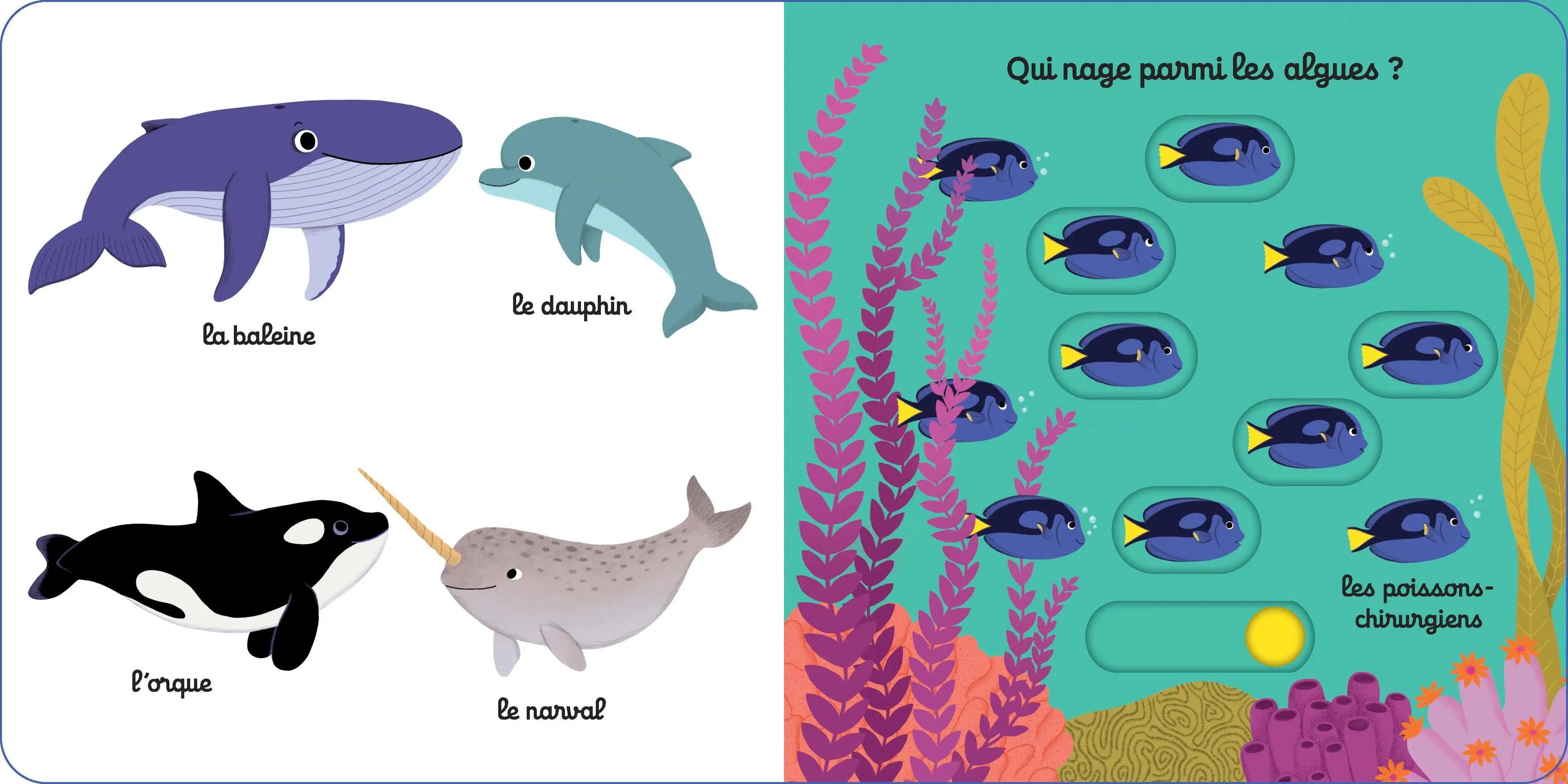 Mon imagier sous l'océan - imagier animé Kididoc Dès 1 an - Livre documentaire - 9782095042196 - page-interieure2