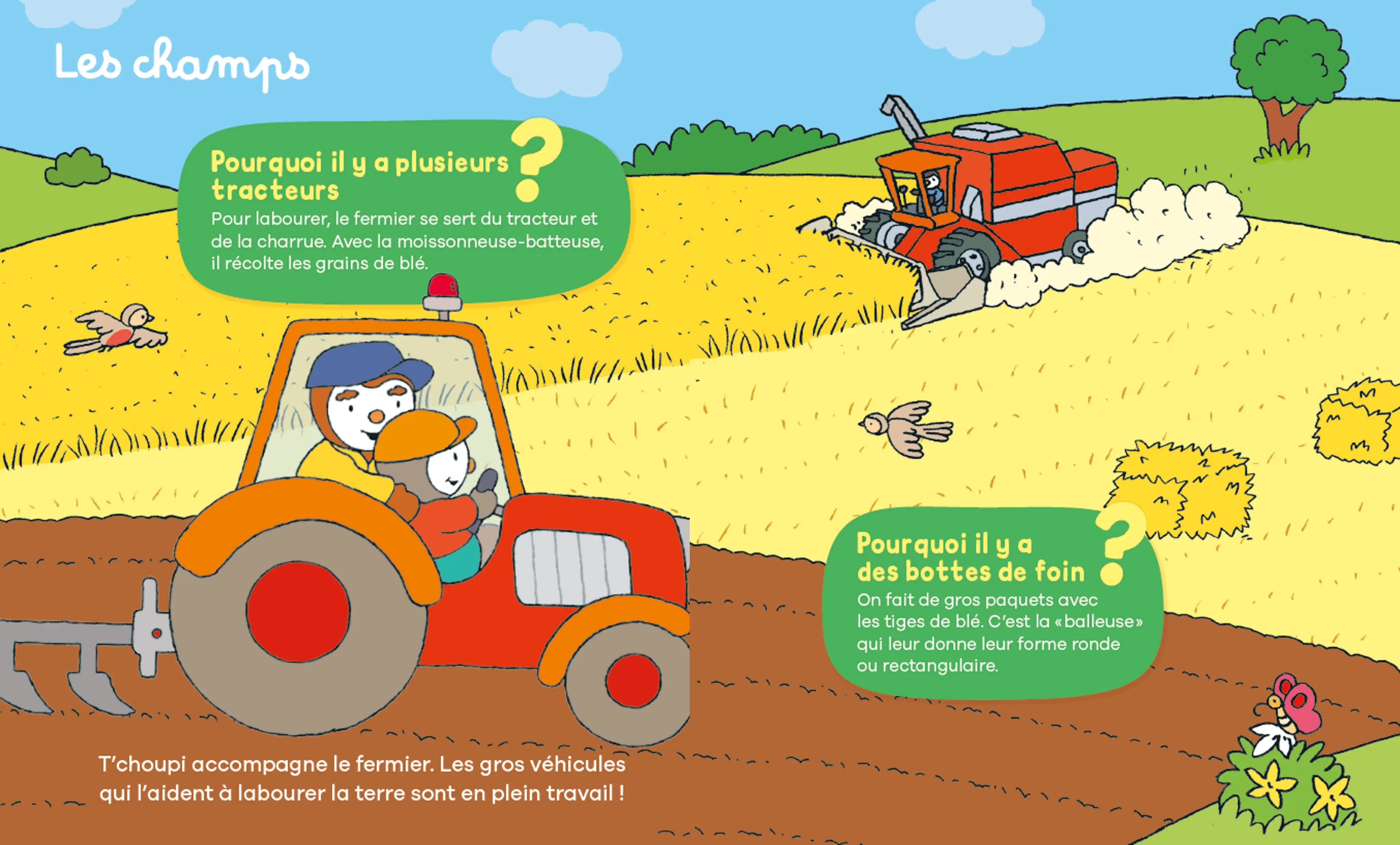 Les Pourquoi de T'choupi : La ferme - 24 réponses simples aux questions des petits -2 ans et plus - Livre documentaire - 9782095043902 - page-interieure2