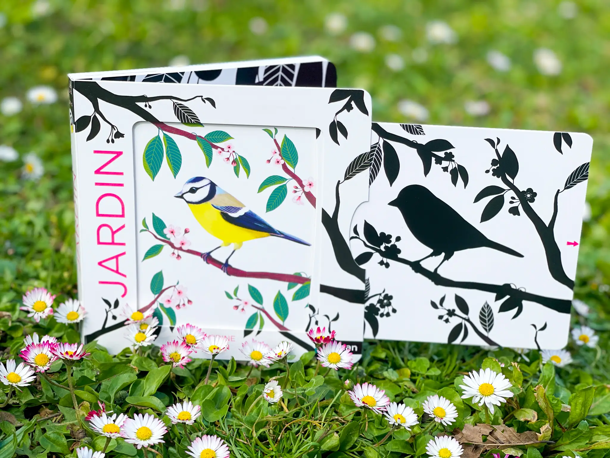 Dans le jardin - Un livre en noir et blanc qui passe en couleurs grâce aux animations, pour les bébés des 6 mois - Livre d'éveil - 9782092490518 - page-intérieure3