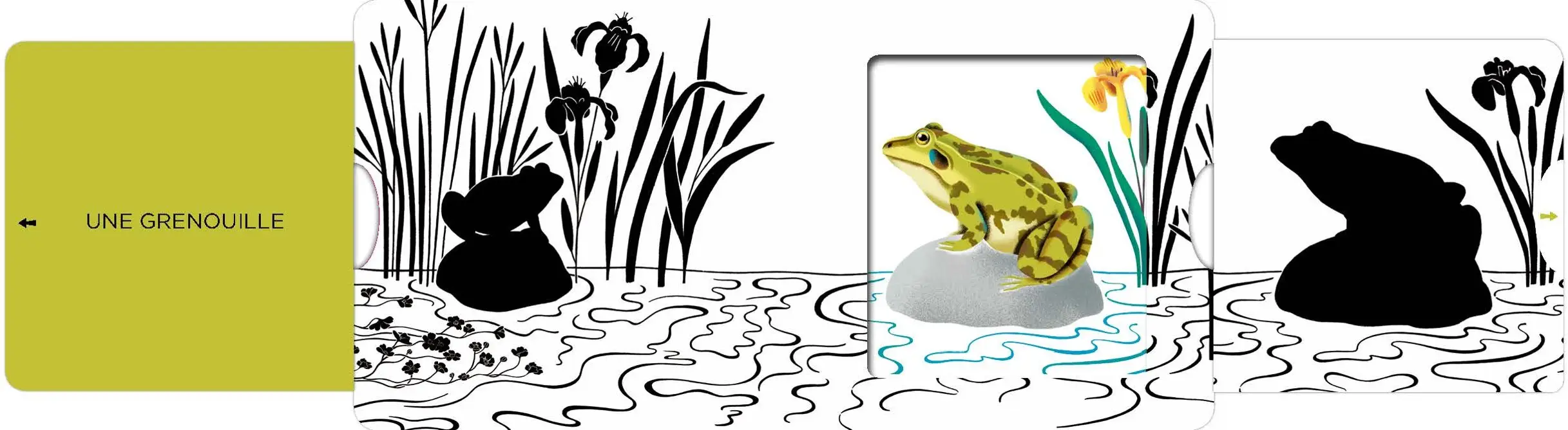 Au bord de la rivière - Un livre en noir et blanc qui passe en couleurs grâce aux animations, pour les bébés des 6 mois - Livre d'éveil - 9782092491874 - page intérieure3