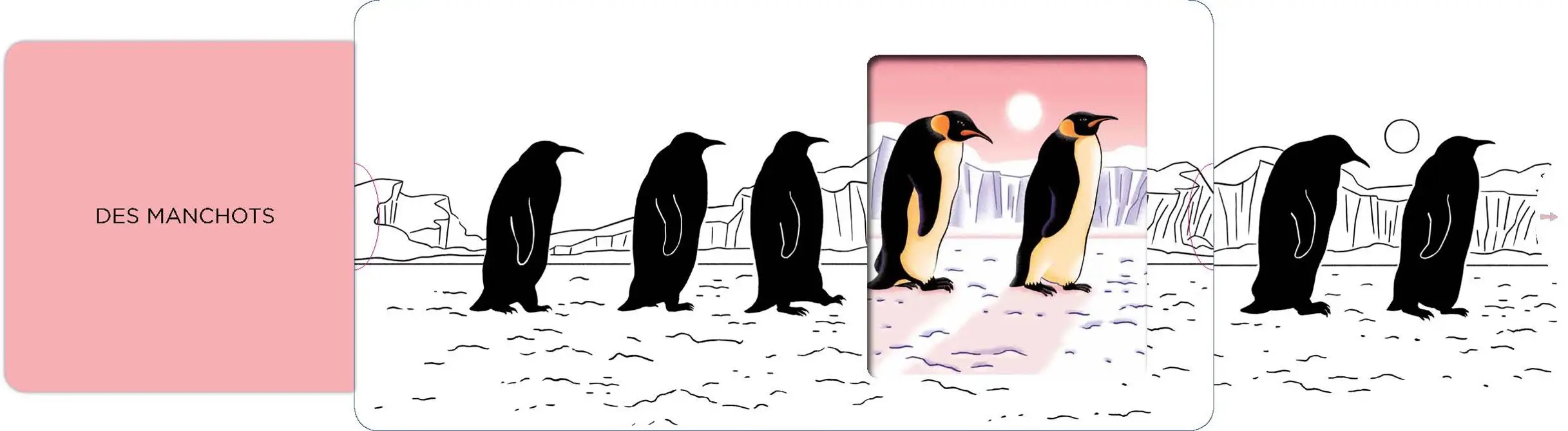 La banquise - Un livre en noir et blanc qui passe en couleurs grâce aux animations, pour les bébés des 6 mois - Livre d'éveil - 9782092491881 - page intérieure3