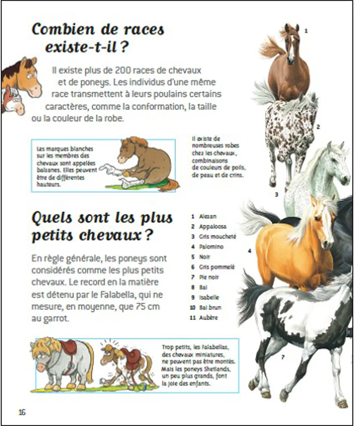 Passion chevaux - Questions/Réponses - doc dès 7 ans - Livre documentaire - 9782092492819 - page intérieure3