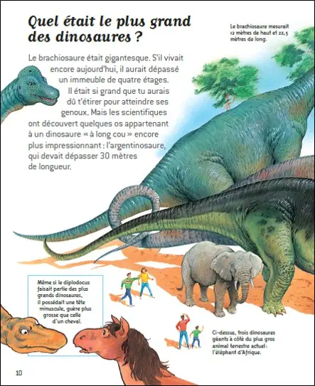 Au temps des dinosaures - Questions/Réponses - doc dès 7 ans - Livre documentaire - 9782092492840 - page intérieure3
