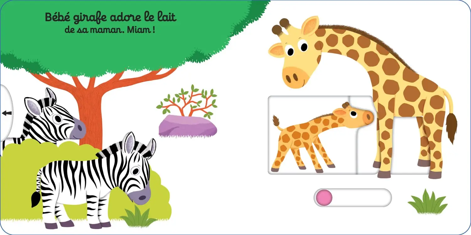 Bon appétit petit girafon ! - histoire animée - Kididoc dès 1 an - Livre documentaire - 9782092493861 - page-interieure3