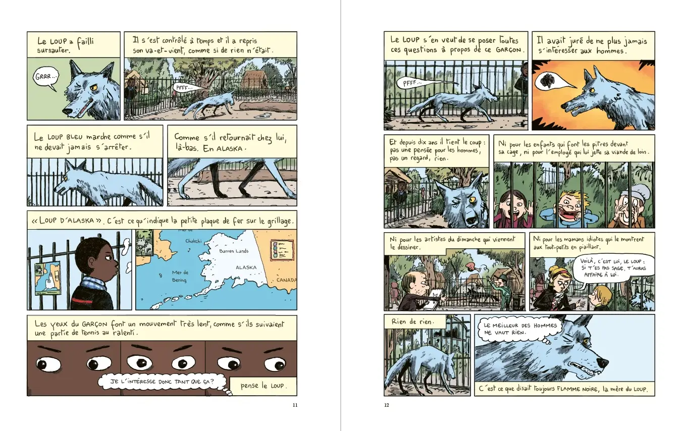 L'Oeil du loup - Le Chef d'oeuvre de Daniel Pennac adapté en BD par Mathieu Sapin - BD - 9782092494639 - page-interieure3