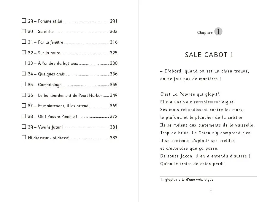 Cabot Caboche - Roman Dyscool - Dès 9 ans - Roman - 9782092497012 - page-interieure3