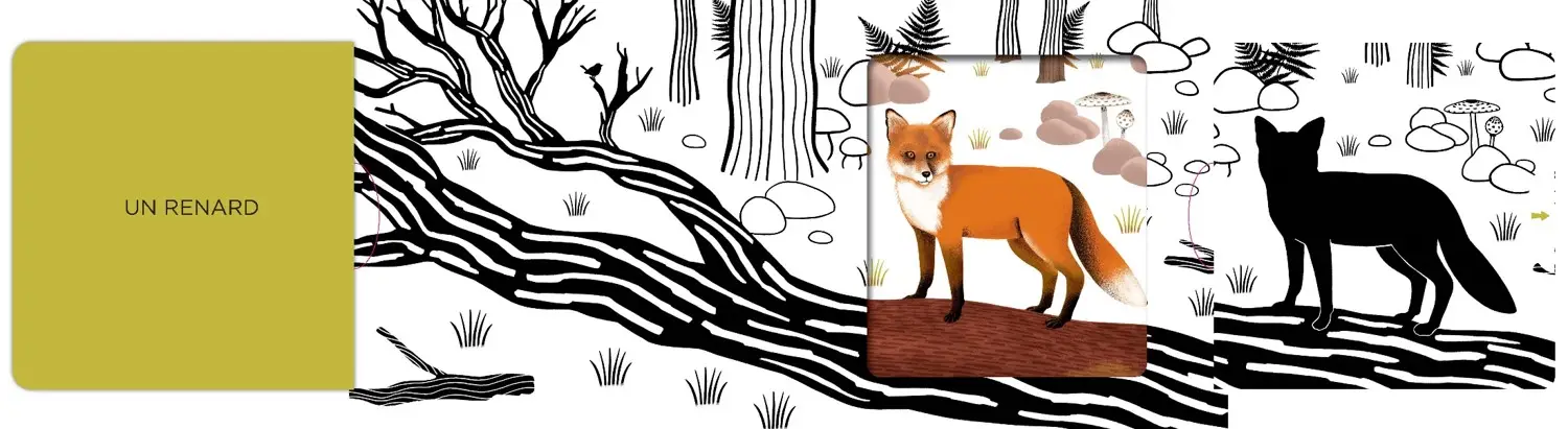 Dans la forêt - Un livre en noir et blanc qui passe en couleurs grâce aux animations, pour les bébés des 6 mois. Les belles couleurs - Livre d'éveil - 9782092497067 - page-interieure3