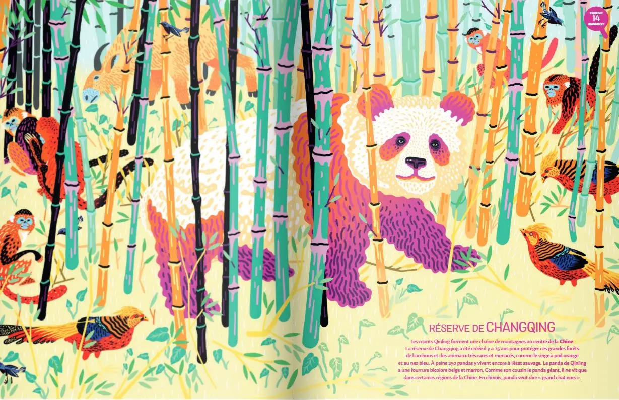 Jungles et réserves naturelles du monde - Un magnifique livre pour partir en voyage dans les jungles du monde et découvrir des animaux sauvages - jeu cherche et trouve - Grand format - Dès 5 ans - Livre documentaire - 9782092585696 - page intérieure3