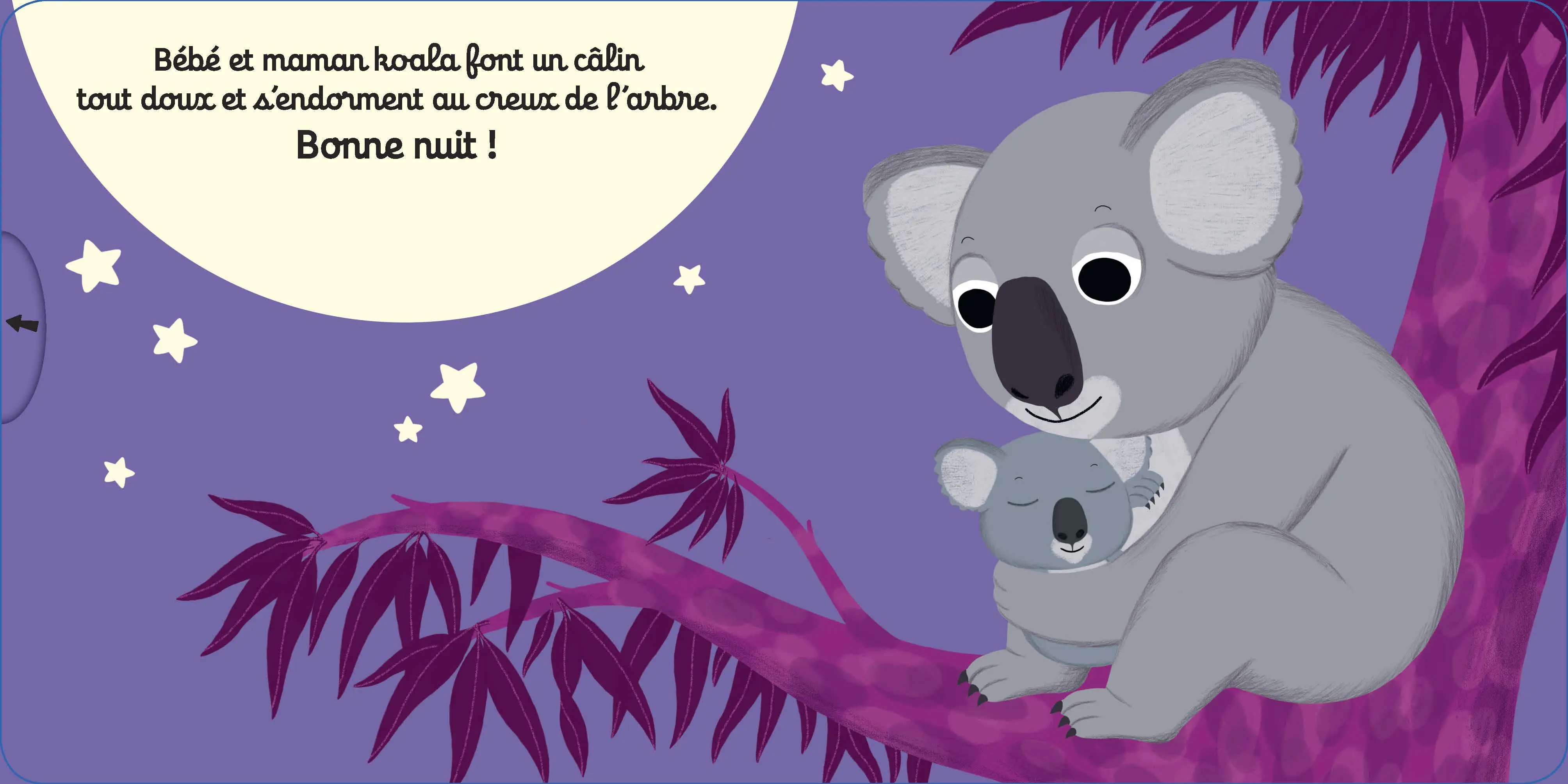 Bonne nuit bébé koala ! - Livre d'éveil animé pour les bébés dès 1 an - Livre documentaire - 9782092591260 - page-interieure3