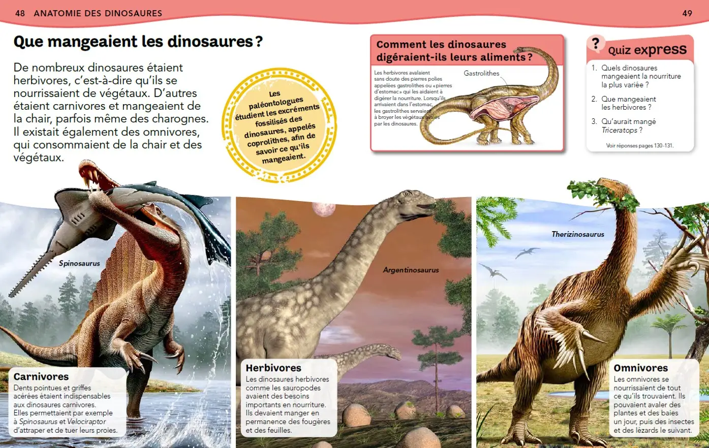 L'Encyclopédie des dinosaures - Questions/réponses - Dès 7 ans  - Livre documentaire - 9782092593271 - page intérieure3