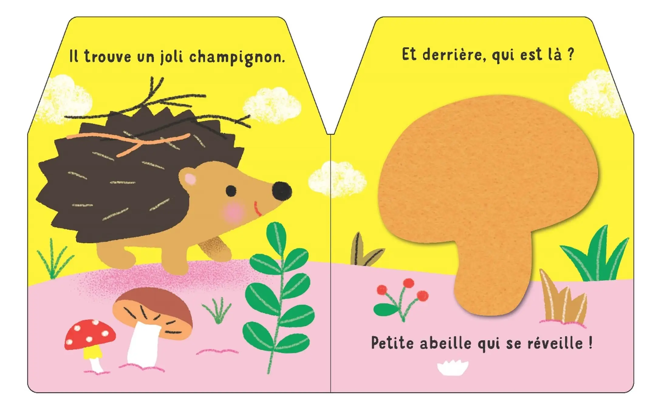 Cache-cache petit hérisson - Livre matière - éveil -  Dès 6 mois - Livre d'éveil - 9782092596579 - page-interieure3
