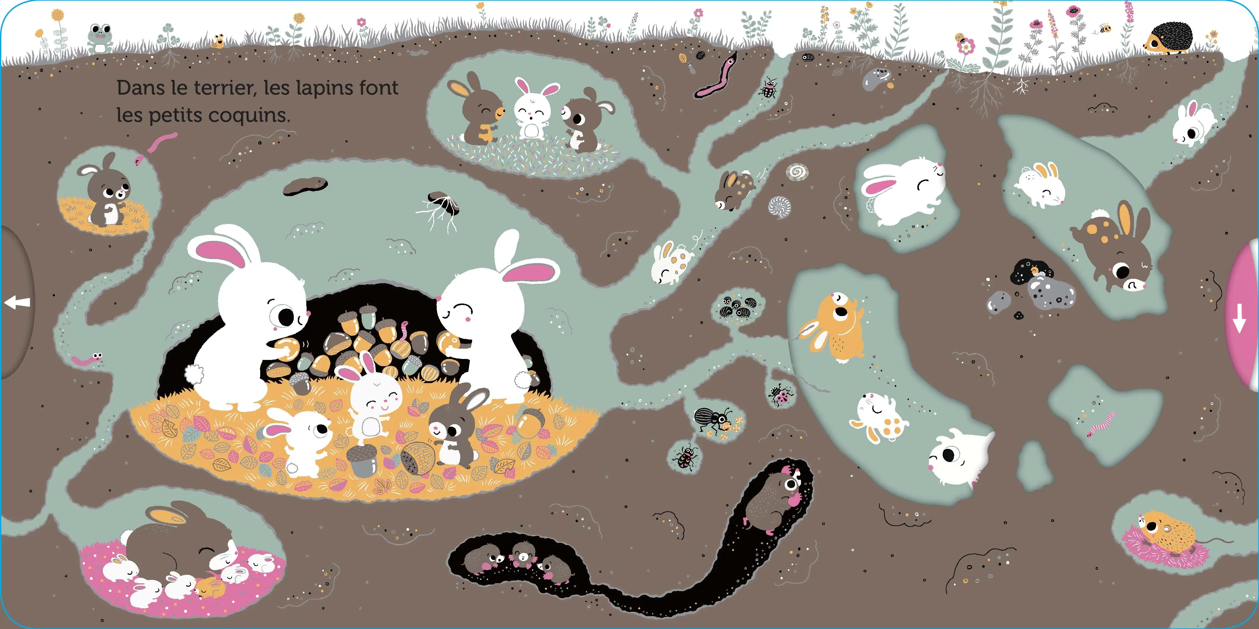 Promenade sous la terre - livre d'éveil animé, pour les bébés dès 6 mois - Livre d'éveil - 9782092596586 - page-interieure3