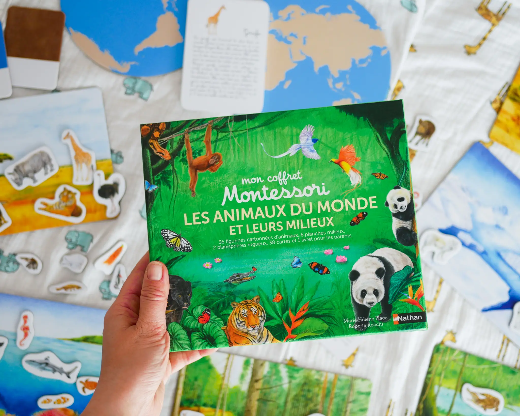Coffret Montessori : les animaux du monde et leurs milieux - Dès 4 ans - Coffret - 9782092791196 - page-intérieure3