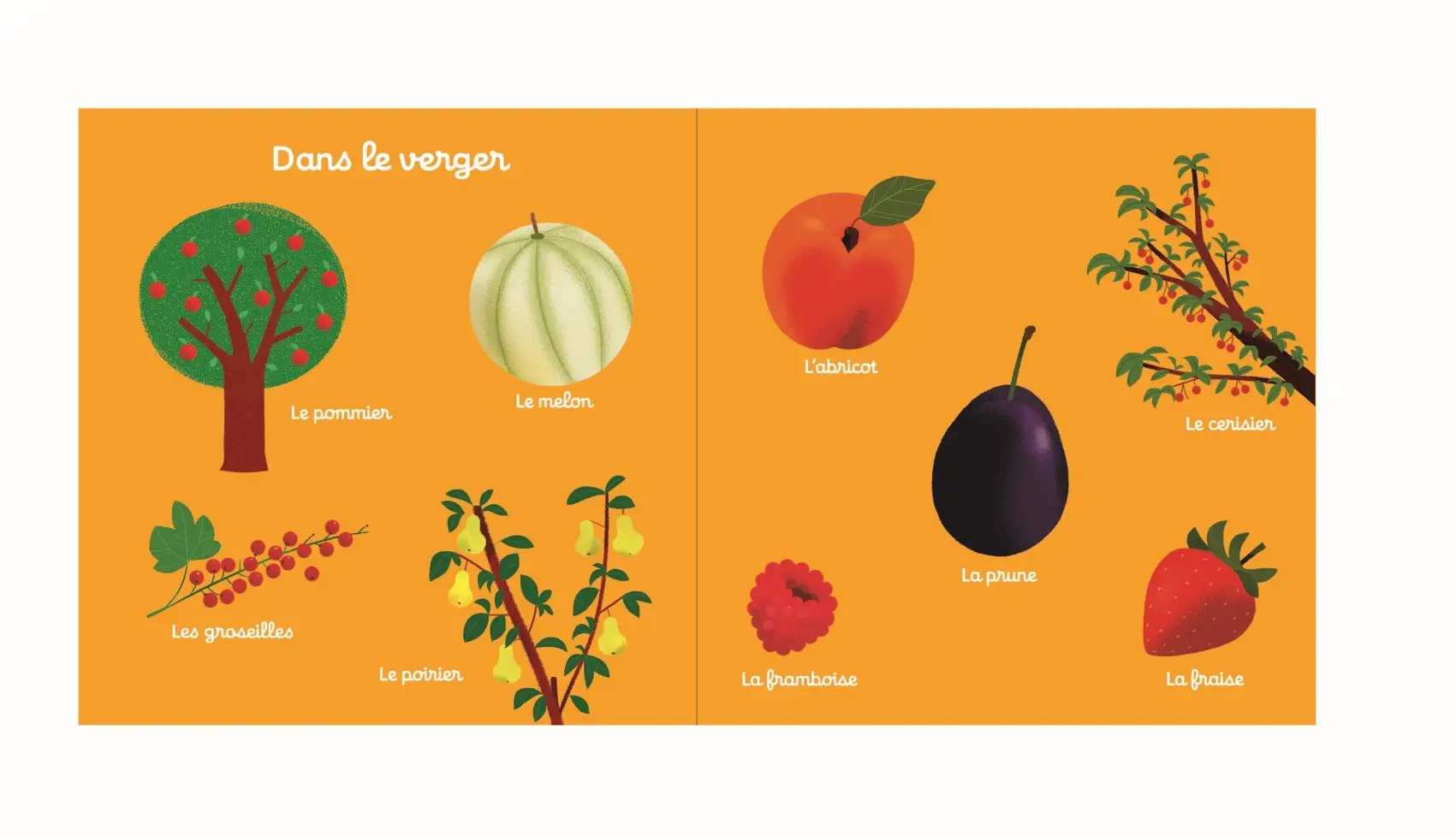 100 mots de la ferme - mon gros imagier - dès 10 mois - Livre d'éveil - 9782092791554 - page-interieure3