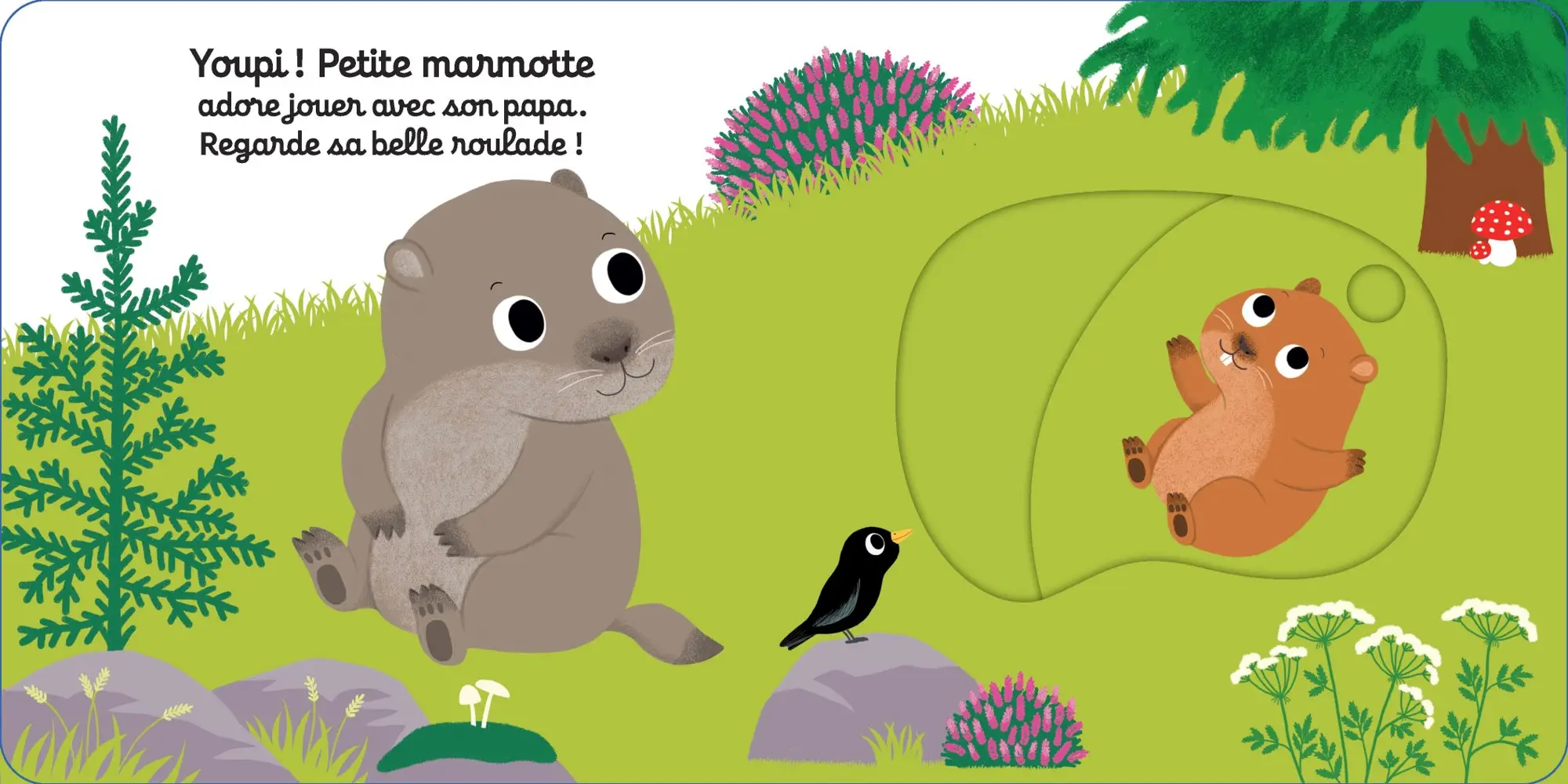Bonne nuit petite marmotte ! - Livre d'éveil animé pour les bébés dès 1 an - Livre documentaire - 9782095012908 - page-interieure3
